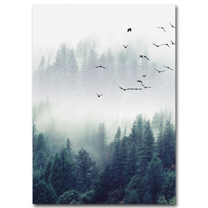 Forest Lanscape Poster
