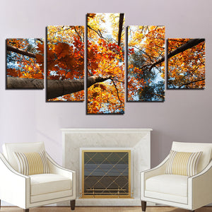 Autumn Trees Leaves Poster HD