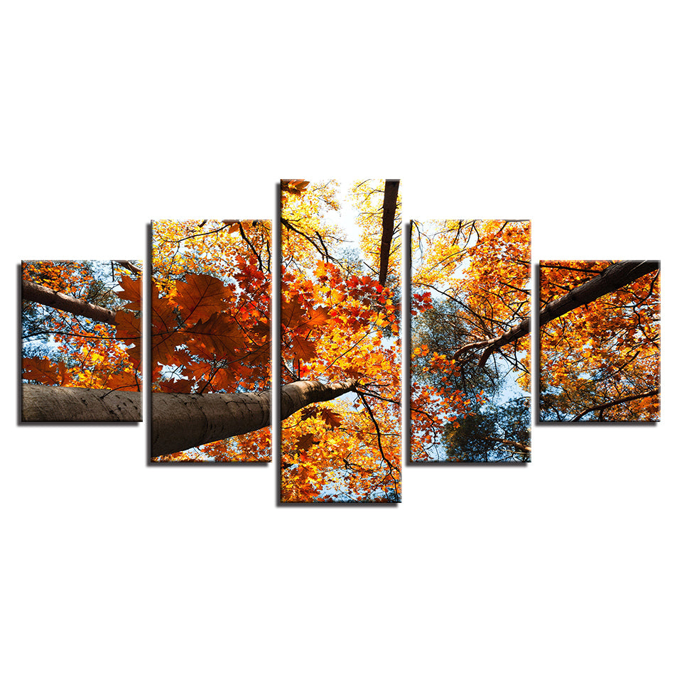 Autumn Trees Leaves Poster HD