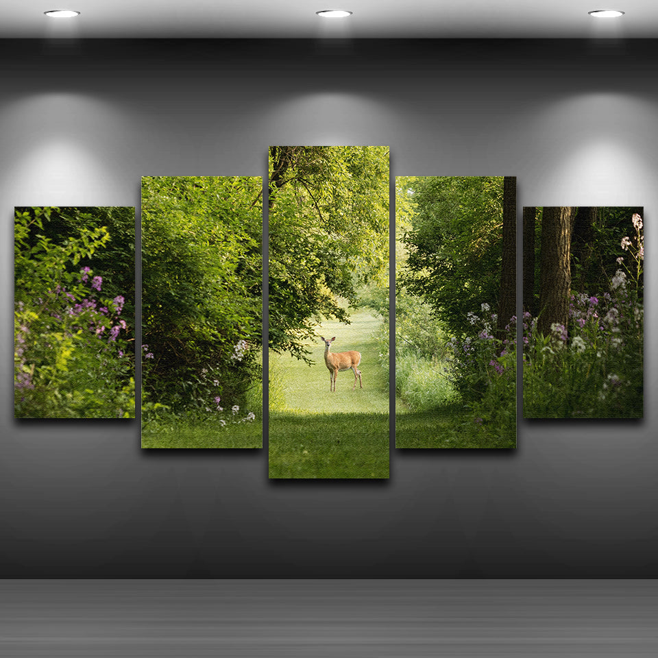 Deer In Nature HD