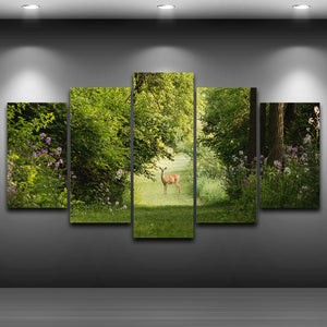 Deer In Nature HD