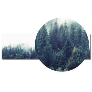 Foggy Forest Canvas Panorama Poster