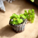 Artificial Home/Office Plant