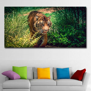 Tigers Poster HD