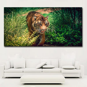 Tigers Poster HD